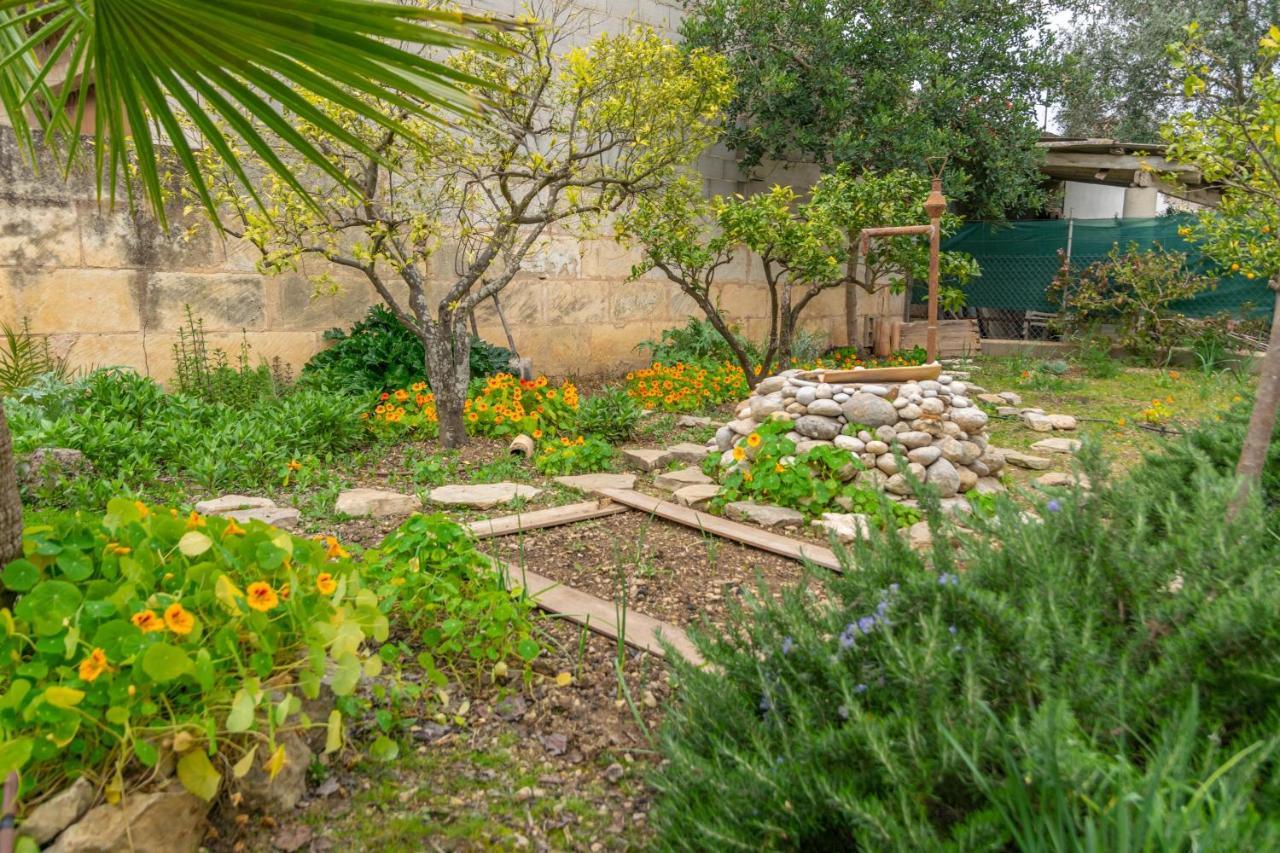 Construcciones Balaguer Villa Mancor del Valle ภายนอก รูปภาพ