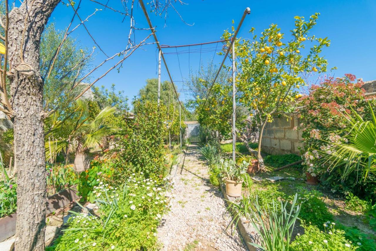 Construcciones Balaguer Villa Mancor del Valle ภายนอก รูปภาพ