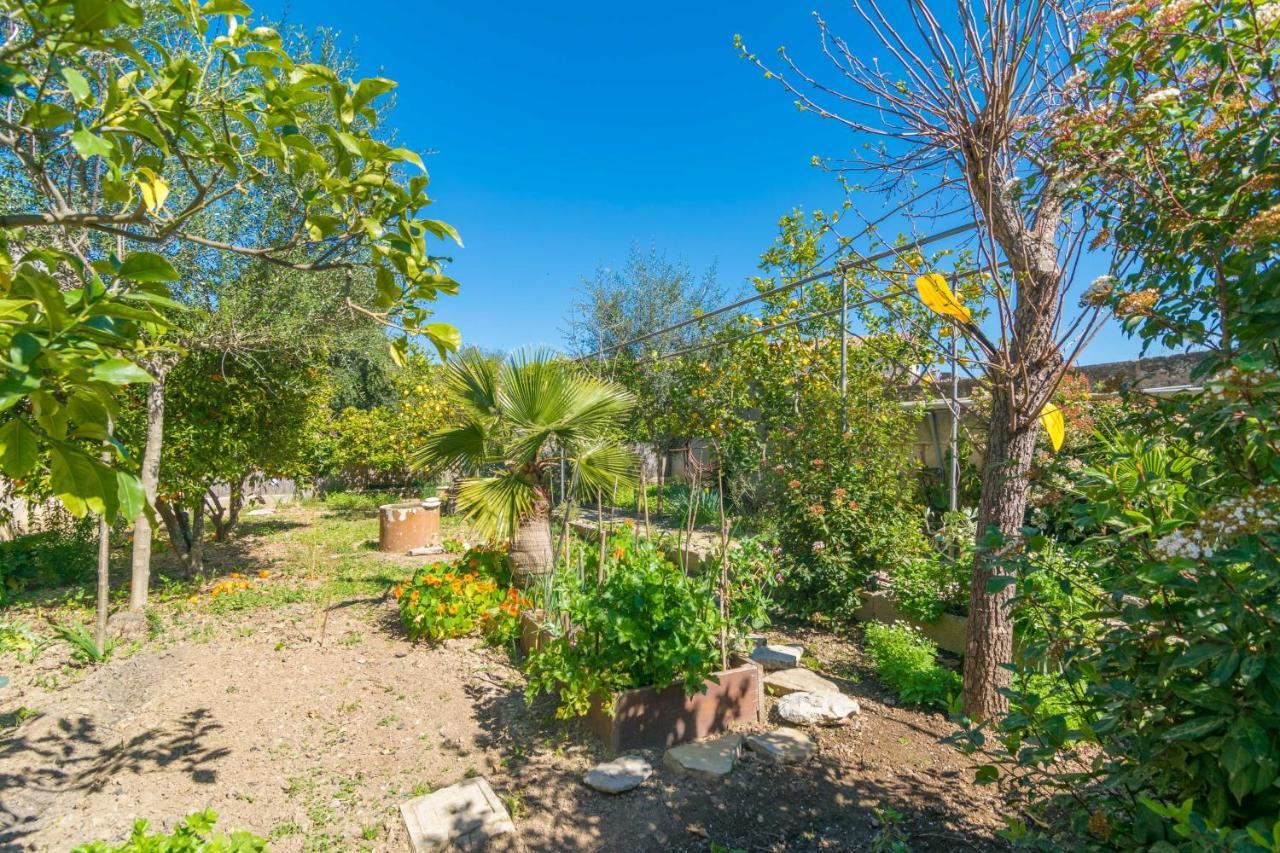 Construcciones Balaguer Villa Mancor del Valle ภายนอก รูปภาพ